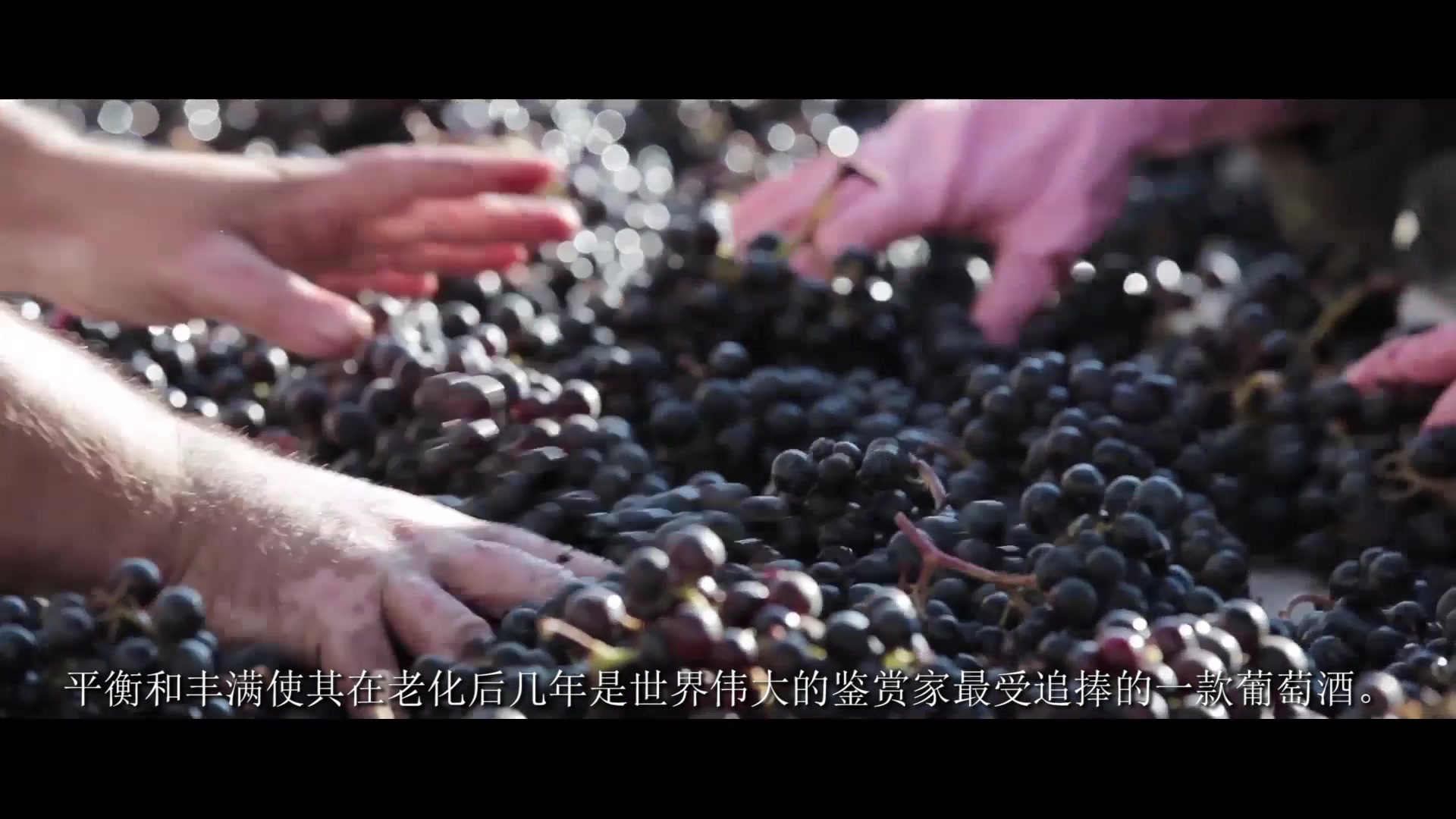 BM  特劳特维利庄园红  Ch㢴eau Trottevieille, SaintEmilion Grand Cru哔哩哔哩bilibili