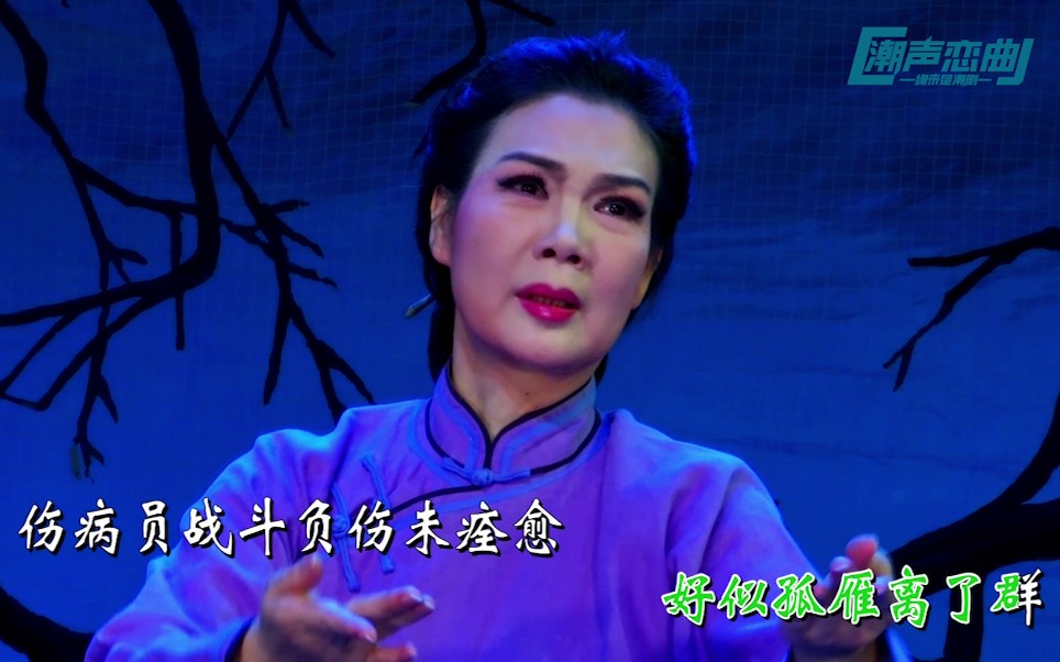 潮剧革命母亲李梨英选段含辛茹苦无所惧