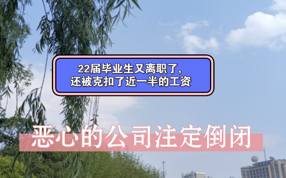 22届毕业生又离职了,时隔8天,真不是人干的,工资克扣了近一半,恶心的公司注定倒闭哔哩哔哩bilibili