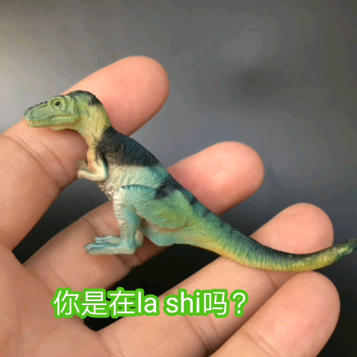 问这个印度鳄龙是什么姿势