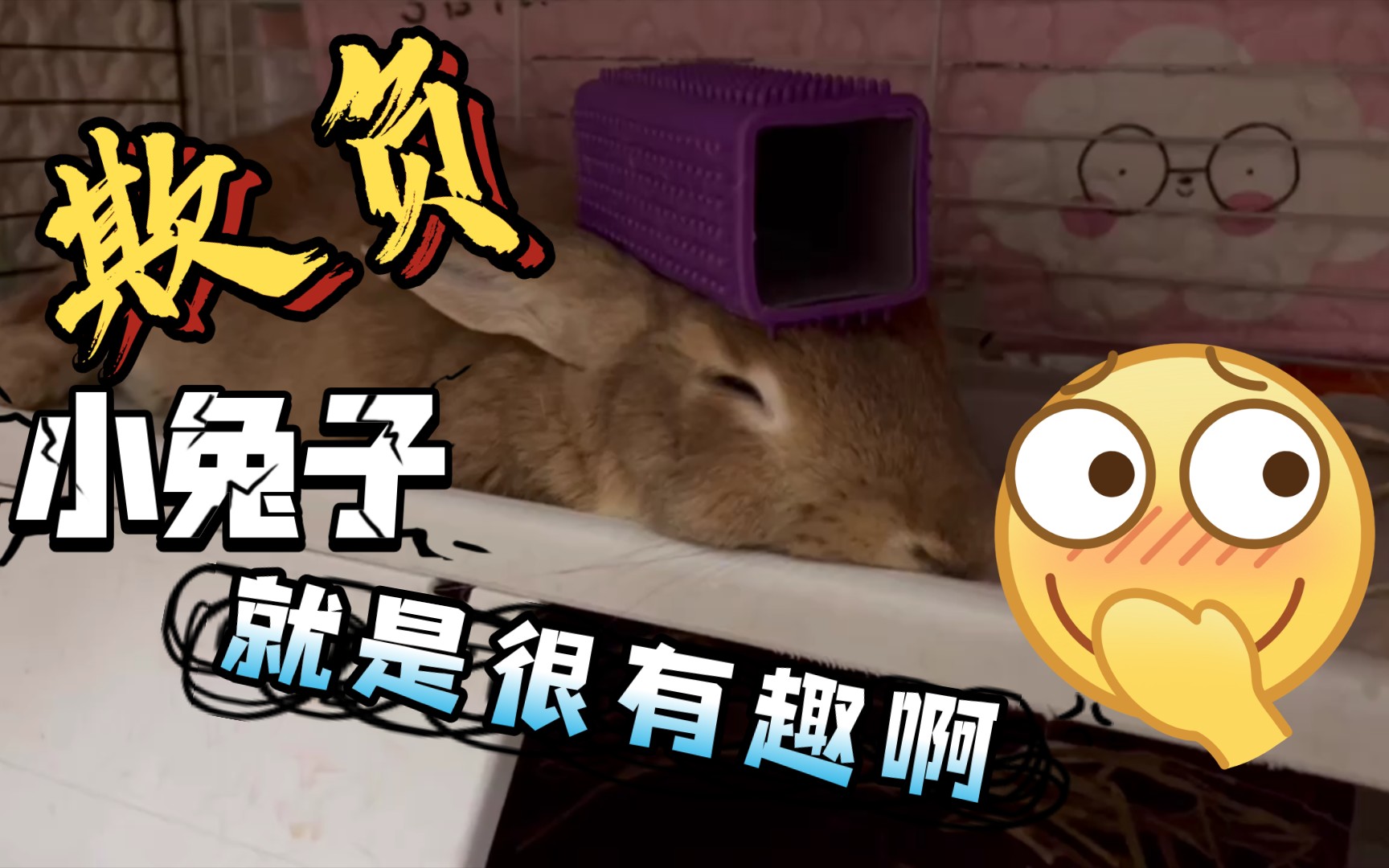 欺负小兔子就是很有趣啊哈哈哈哈哈