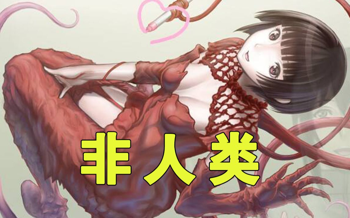 人外娘!机战!还有各种想不到的_哔哩哔哩_bilibili