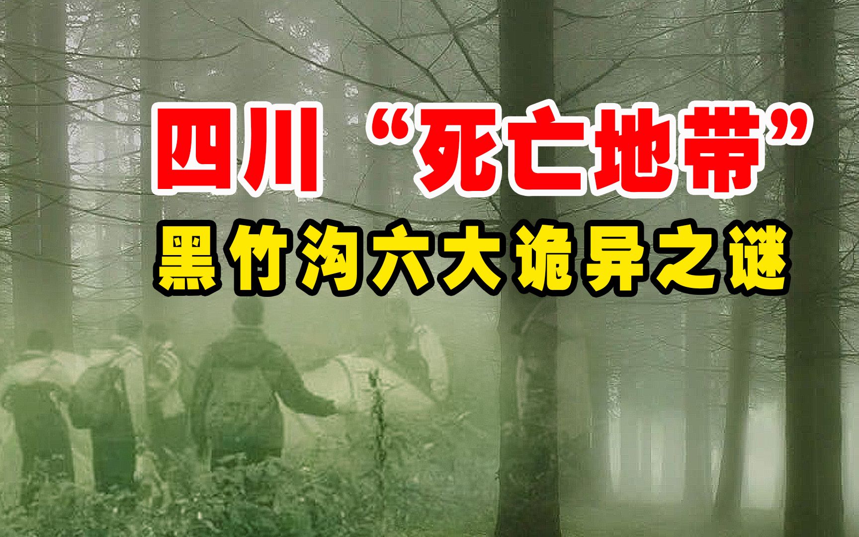 真实的“死亡地带”十大未解之四川黑竹沟,六大诡象至今是谜哔哩哔哩bilibili