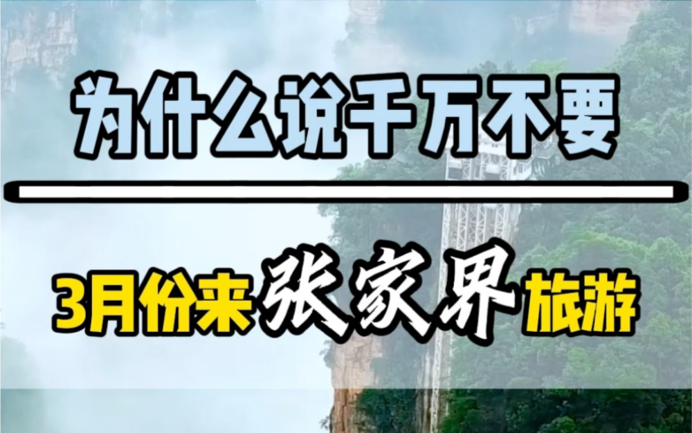 为什么说千万不要3月份来张家界旅游,因为此时过来,景色美,价格便宜,费用低#张家界旅游攻略 #湖南张家界哔哩哔哩bilibili