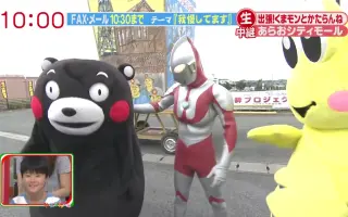 熊本熊 搜索结果 哔哩哔哩 Bilibili