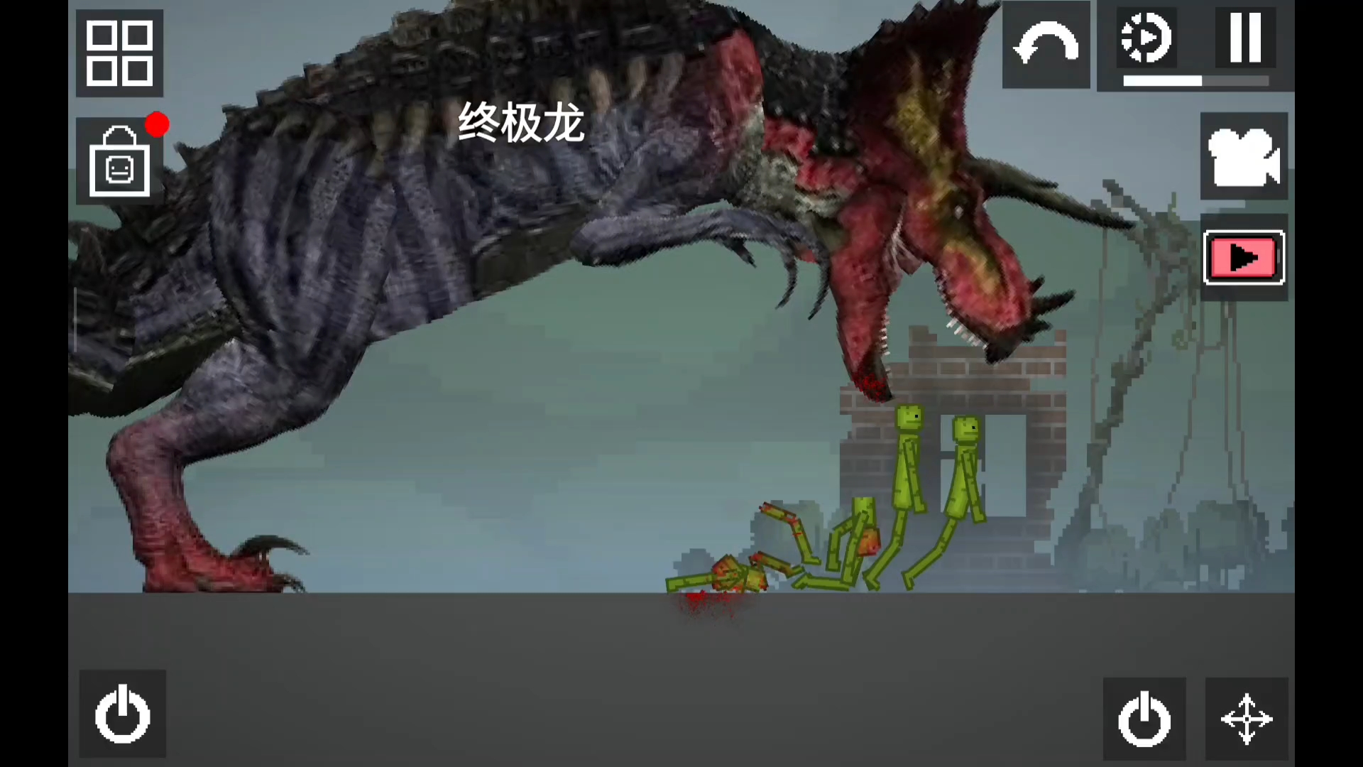 生物展示5