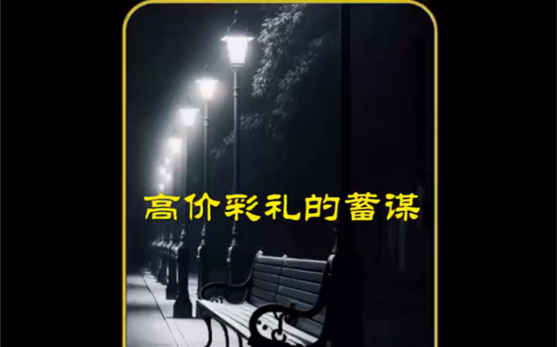 小说推荐:高价彩礼的蓄谋哔哩哔哩bilibili