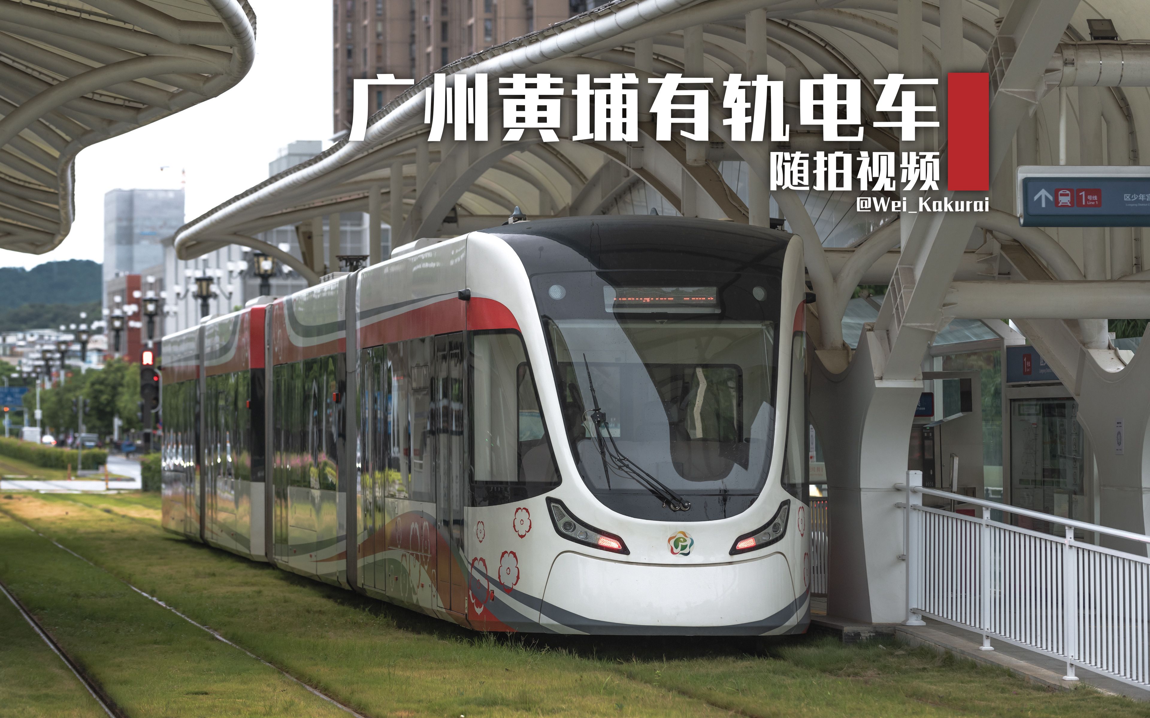 广州琶洲有轨电车图片