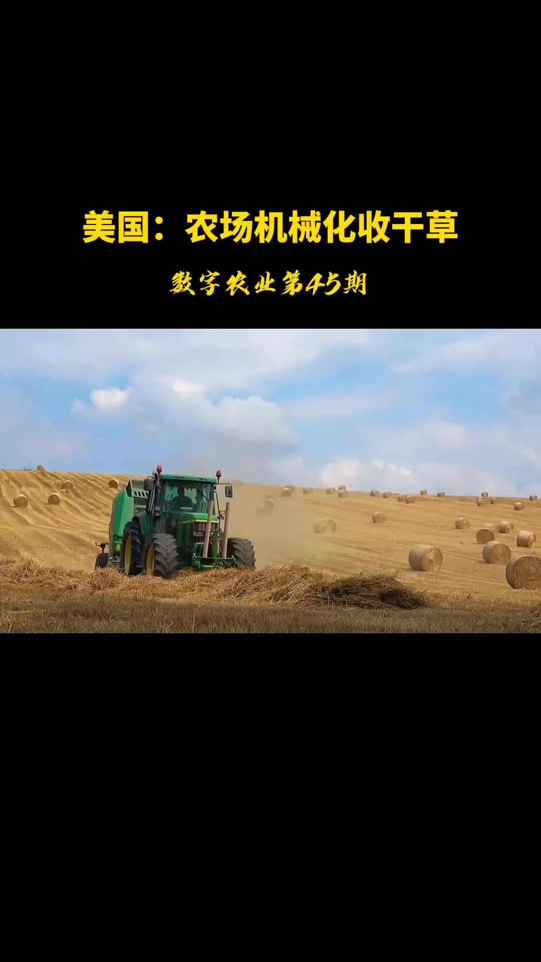 北美:大型农场现代化收干草,强大的畜牧业背后是有原因的!哔哩哔哩bilibili