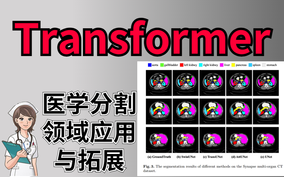 [图]【医学-神经网络】同济大佬全面解析Transformer在医学分割领域应用与拓展（MedicalTransformer源码解读）