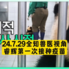 【中字】24.7.31周三兽医cut丨辉宝“复仇记”兽医视角_哔哩哔哩_bilibili