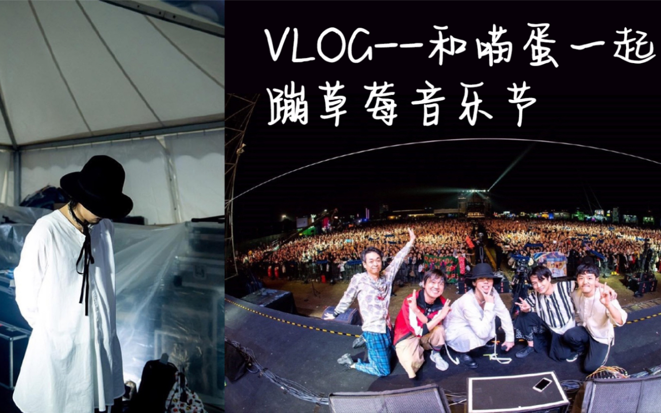 【vlog】2019上海草莓音乐节,蹦赵雷/radwimps/新裤子乐队_哔哩哔哩