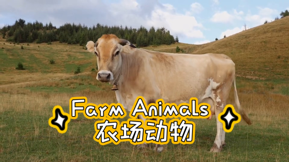 【趣味英语】 Farm Animals | 农场动物哔哩哔哩bilibili