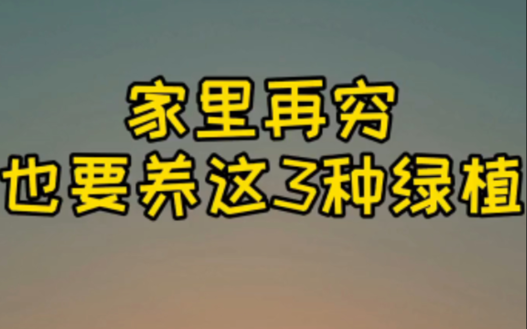 养花小知识两则:家里再穷也要养这种花!电视机旁适合摆什么绿植,你放对了吗?哔哩哔哩bilibili