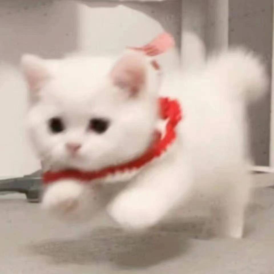今天要罩睡