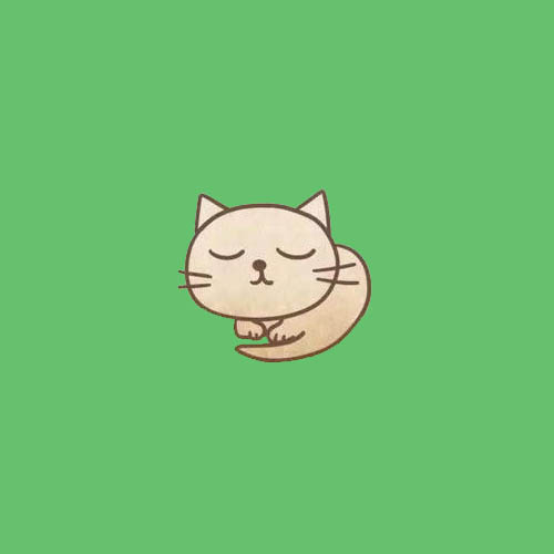 吃饱睡觉的猫