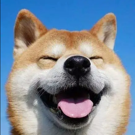 明月与清风__