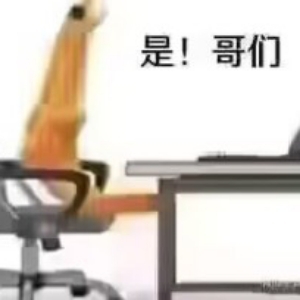 罗德迷惑行为bot