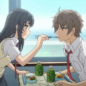 我不会梦见兔女郎学姐