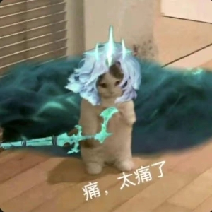 吉林小金数码