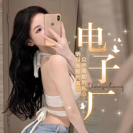 电子厂-点唱交友