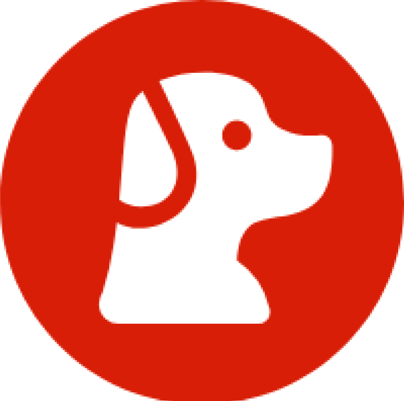 小技巧excel基础教学04内容排序