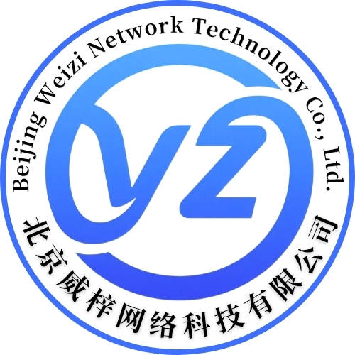 维智云计算