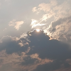 Yの日常-