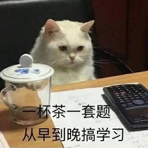 能看到远迈汉唐嘛
