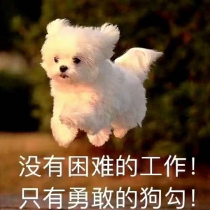 一只丽丽鸭