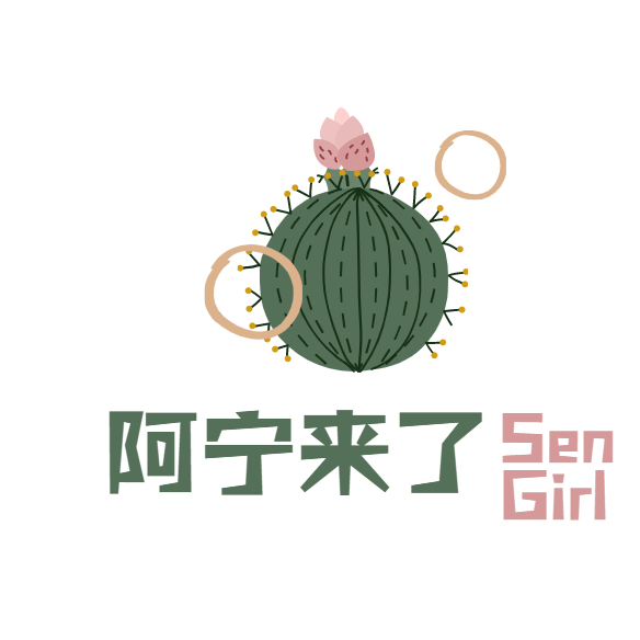 阿宁的数据产品小屋