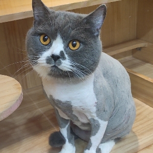丶丰丶