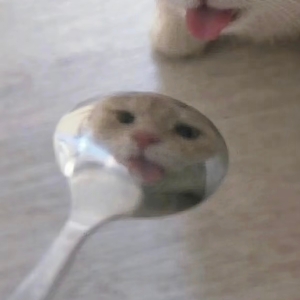 NIJI秋刀鱼