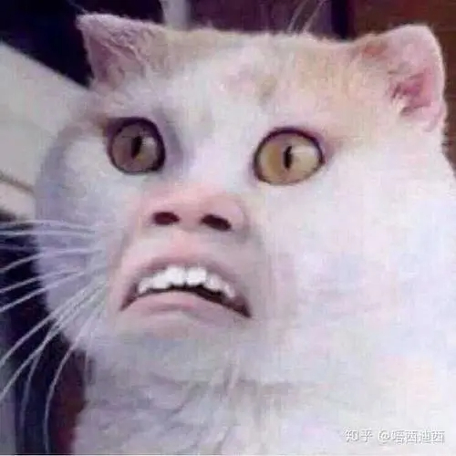 假如牲活欺骗了伱