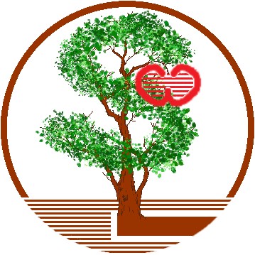 LSW三部曲