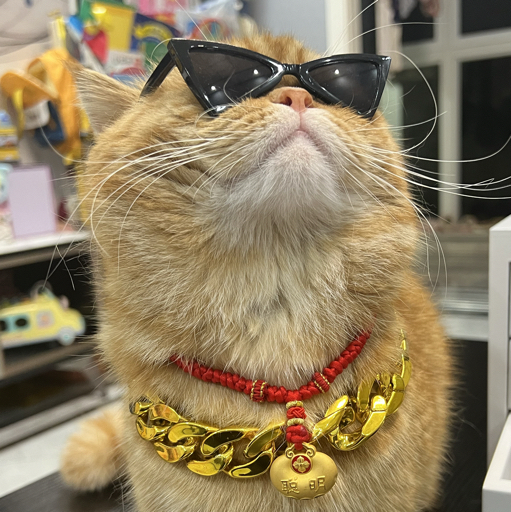 榴大莲的小千层