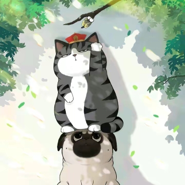 MCxiaobai_4233