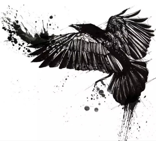 渡鸦7号的投稿视频