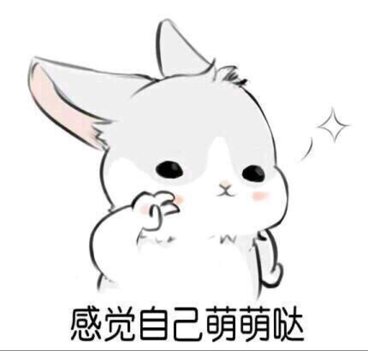 二萌不是仓鼠