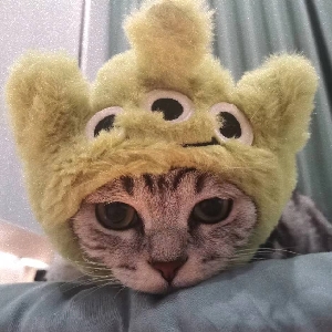 ⚠