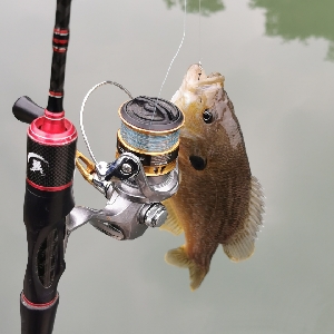 寻找路亚目标鱼标点系列之三:亚,米级翘嘴顶级战场①