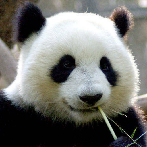 千里小编