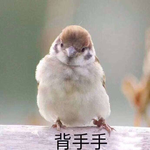 平安京塔防阴阳守御超详细新手向通关攻略 哔哩哔哩专栏