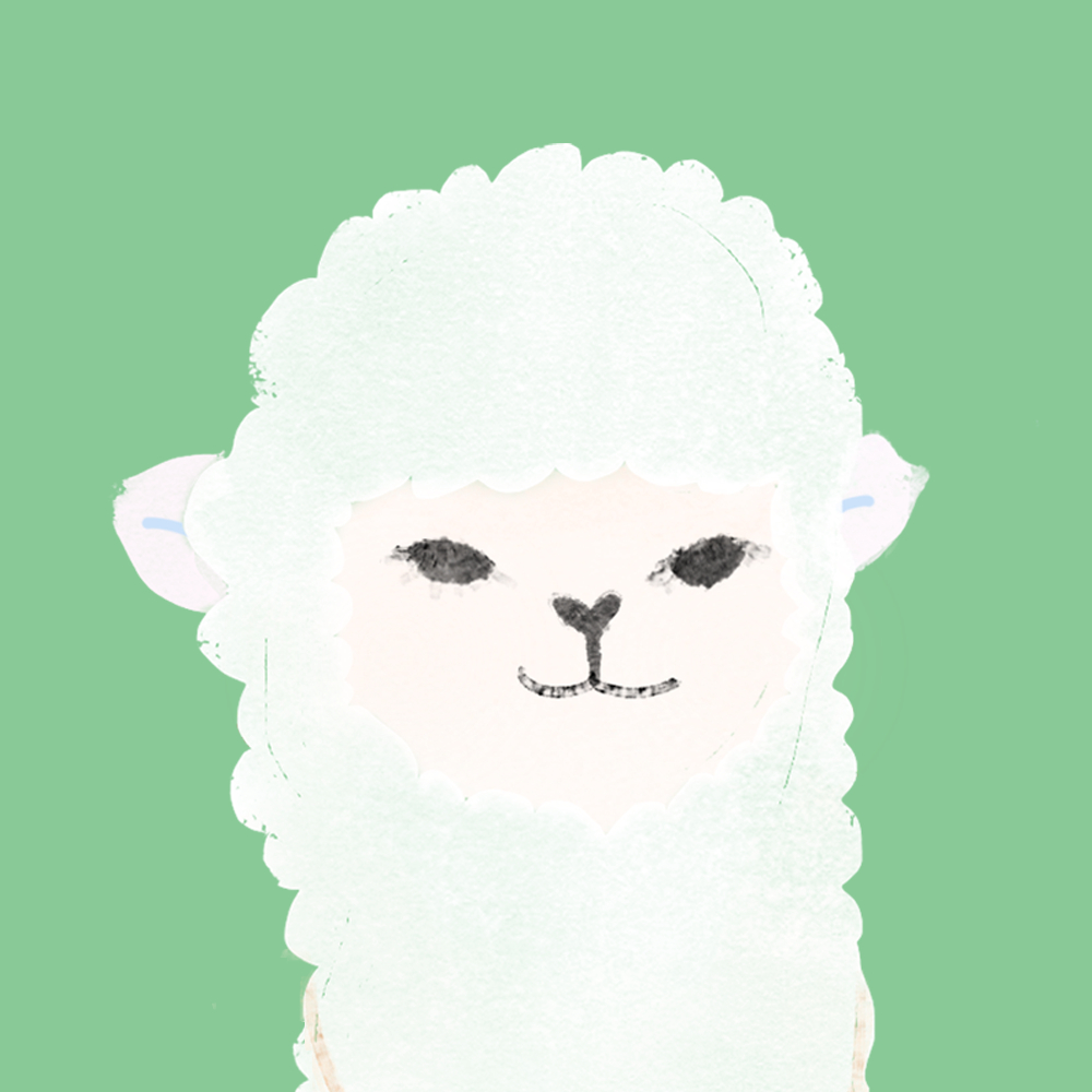 缅因猫小猫咪吸猫薄荷该投降的却是我