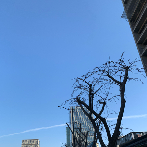 自考-工程管理