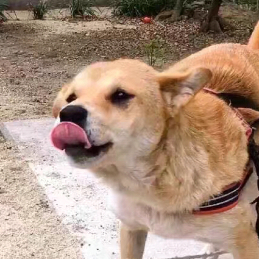 泰坦陨落1 2代个人击杀集锦