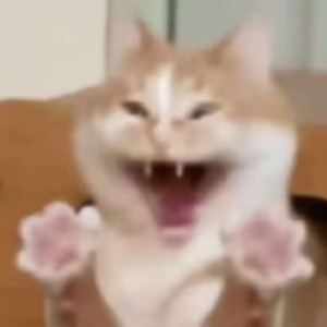 ⚠