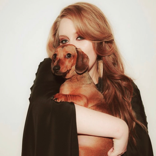 【 betty 】taylor swift霉霉 folklore 吉他教学合集 持续更新