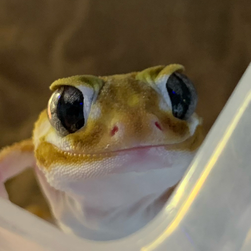 刚开箱啪就跳没了