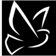 【激情实况】【玄学时间!彩虹六号之死】